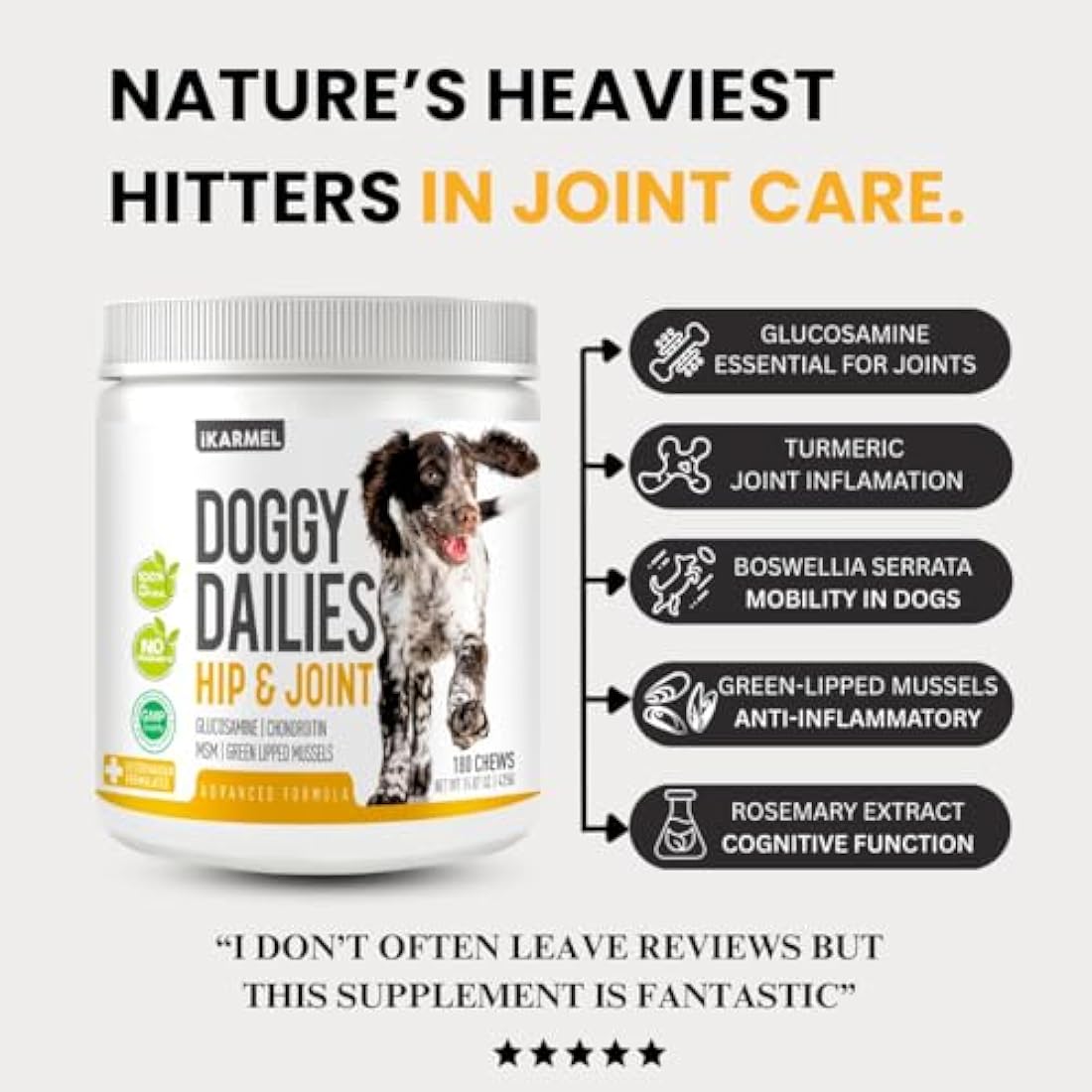 iKarmel Dog Joint Support Chews - Glucosamine & Green Lipped Mussel - 270ct