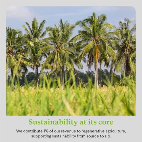 Jax Coco Pure Coconut Water – 100% Natural Hydration – 24 x 330ml Cans