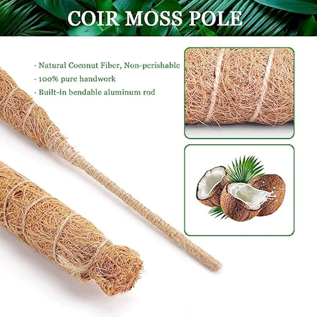 2-Pack Bendable Coir Moss Poles for Monstera - 60cm & 120cm