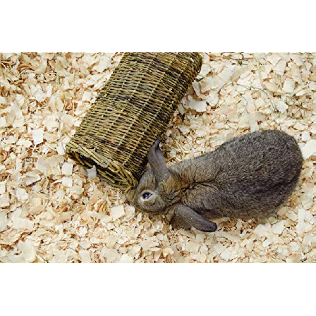 Natural Willow Tube | Small Animal Chew Toy & Hideaway