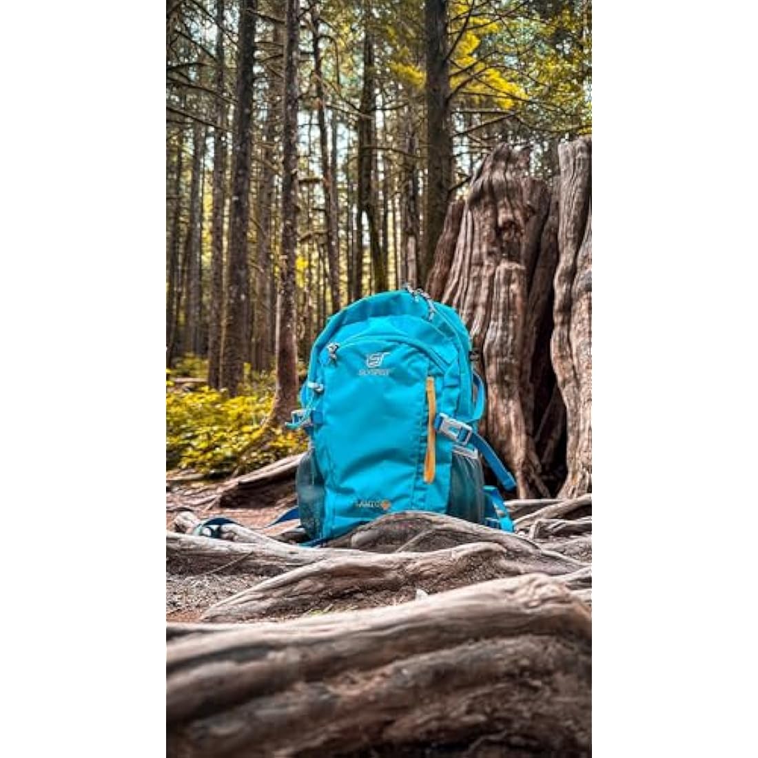 SKYSPER 20L Hiking Backpack | Lightweight Travel Daypack - Blue