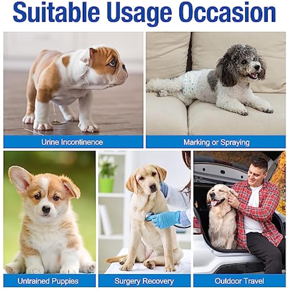 Pet Soft Male Dog Wraps – Super Absorbent Disposable Nappies, 48-Pack