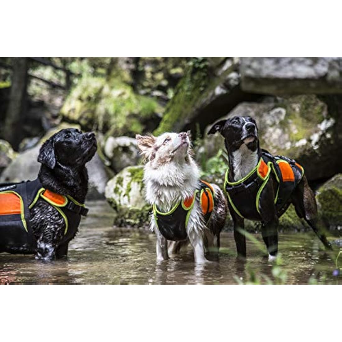 Julius-K9 IDC 3-in-1 Dog Vest – Swimming, Rehab & Winter Coat, Size S