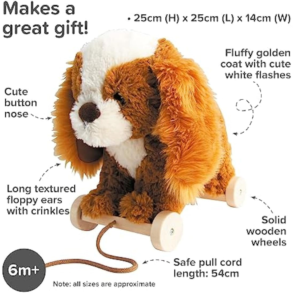 Little Bird Told Me Peanut Pup Pull Along Toy – 2-in-1 Sensory Plush