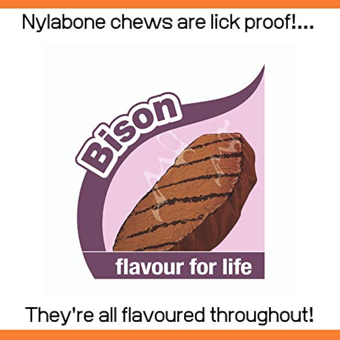 Nylabone Extreme Tough Wishbone Dog Chew Toy - Bison Flavour, Small