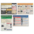 20th Century USA History Posters - Set of 4 A1 Laminated Charts