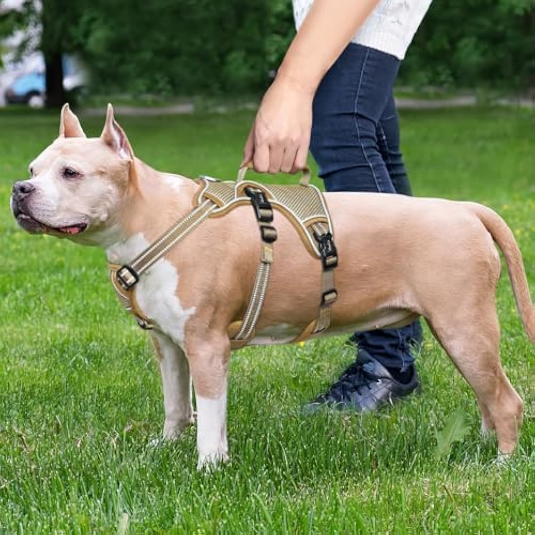 Jolof Store Escape Proof Dog Harness – No Pull Reflective Vest, Brown