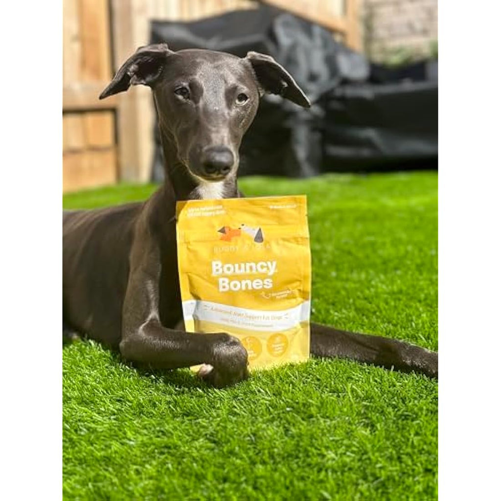 Buddy & Lola Dog Joints & Tummy Bundle | Probiotic Powder & Glucosamine