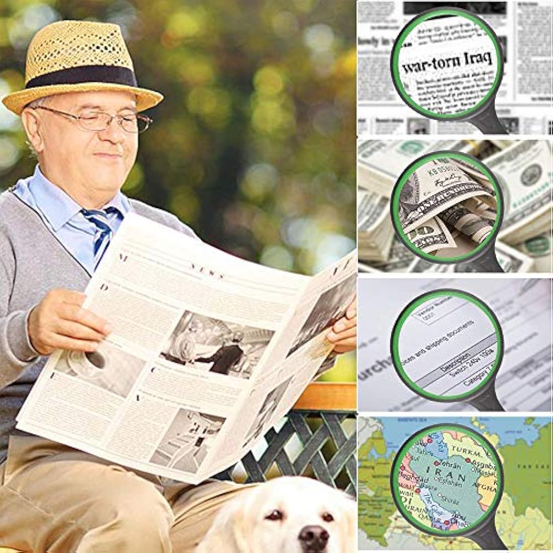 10X Handheld Magnifying Glass – 75mm Shatterproof Reading Lens
