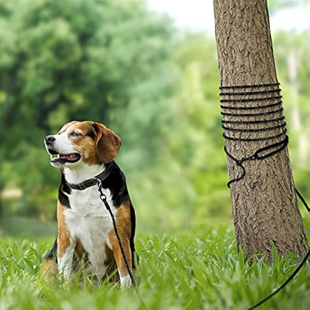Long Reflective Dog Training Lead - 15M Nylon Puppy Leash