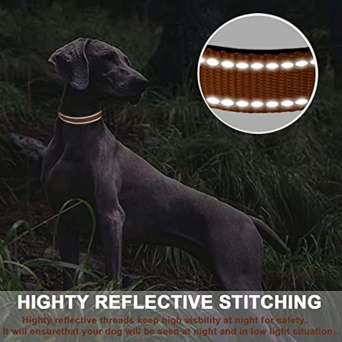 Jolof Store Reflective Dog Collar – Padded Durable Nylon Pet Collar