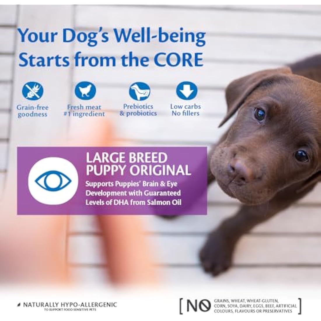 Wellness CORE Large Breed Puppy Food – Grain-Free Chicken Recipe, 10kg