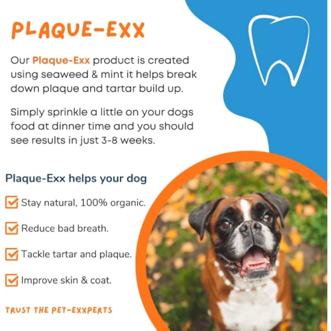 PlaqueExx Pet Plaque and Tartar Remover with Mint - 100g