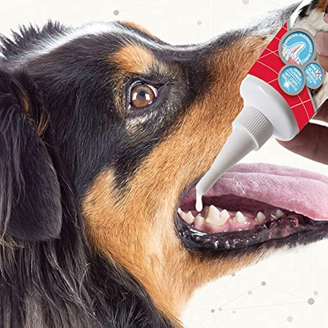 Beaphar Advanced Enzyme Toothgel – Liver Flavoured Pet Dental Care 100g