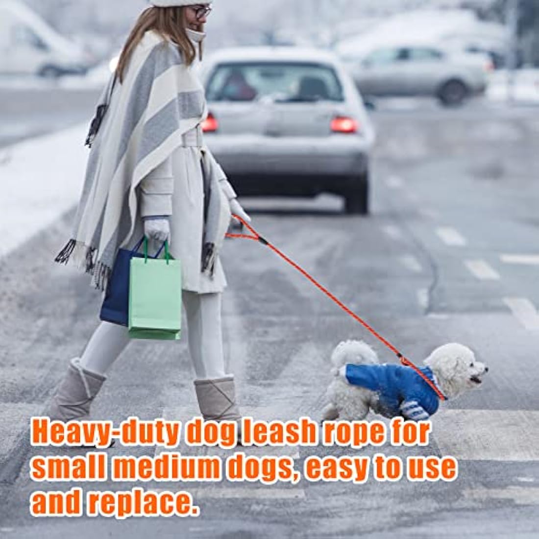 Dog Slip Lead – 150cm Durable Nylon Training Leash Rope