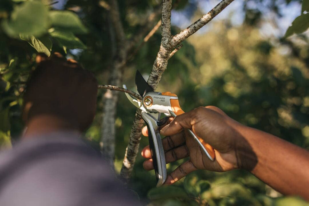 Fiskars Plus Metal Bypass Secateurs – Ergonomic Silver Pruning Shears