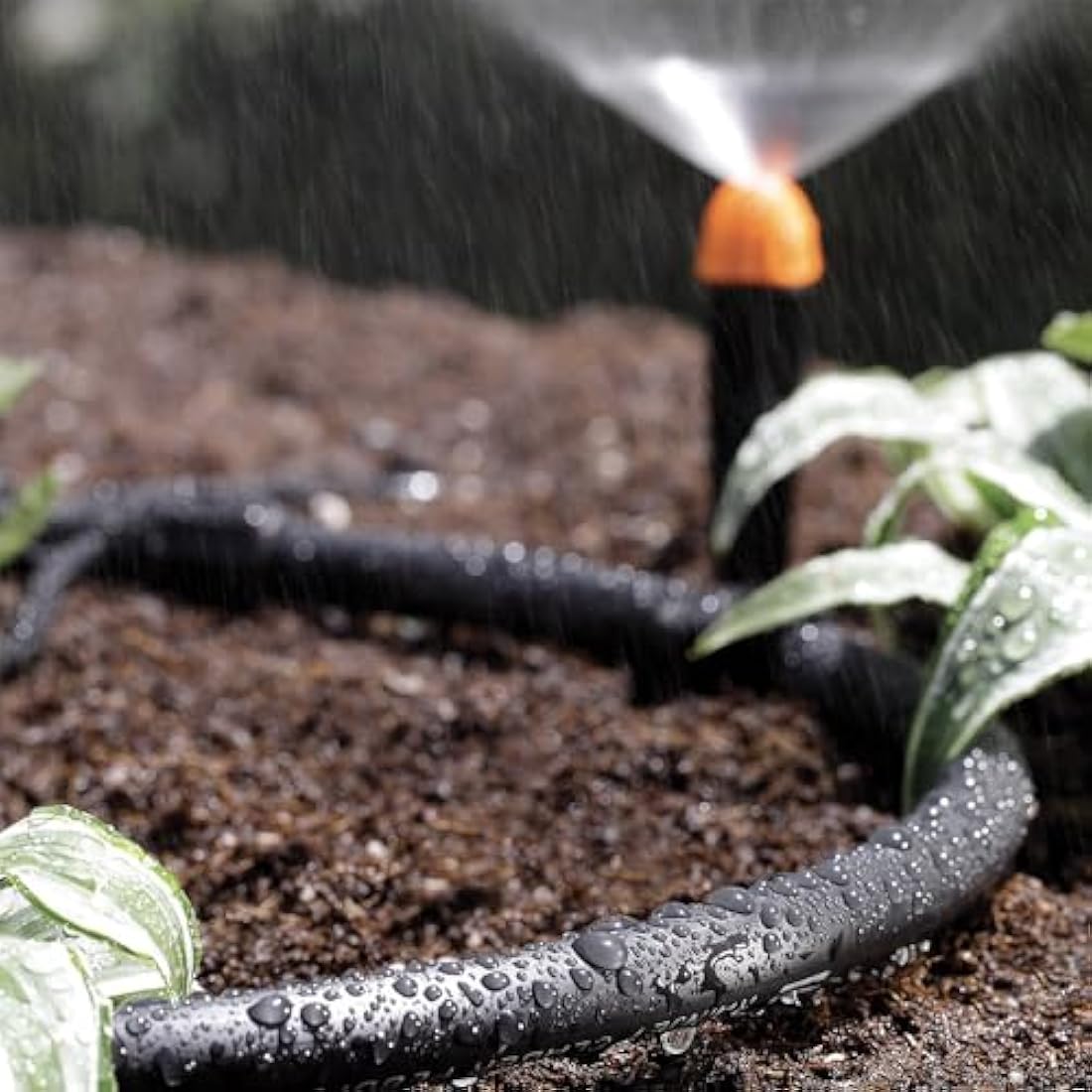 Claber Main Tube 25m – 1/2" Flexible PE Drip Irrigation Hose | Black