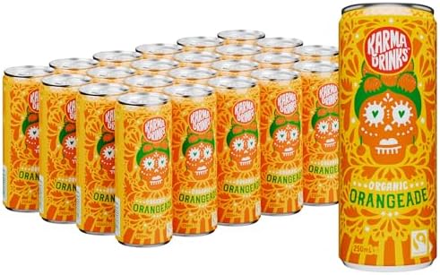 Karma Drinks Organic Orangeade – Fairtrade Fizzy Soft Drink, 24 x 250ml