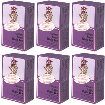 Floradix Sage Organic Herbal Tea – 15 Bags (6 Pack Bulk Bundle)