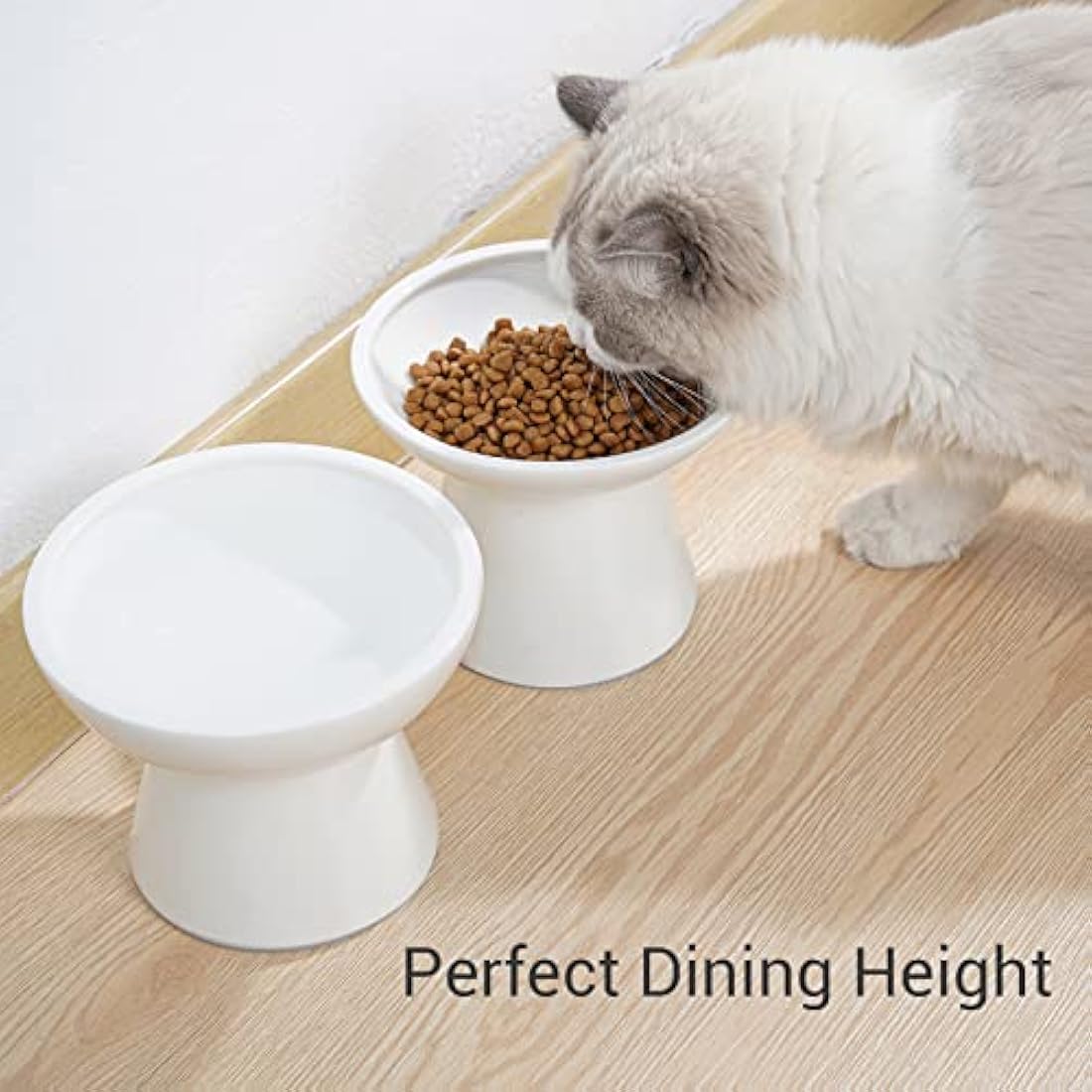 CEEFU Elevated Ceramic Cat Bowls - 2 Pack Wide Whisker-Friendly Shallow Plates