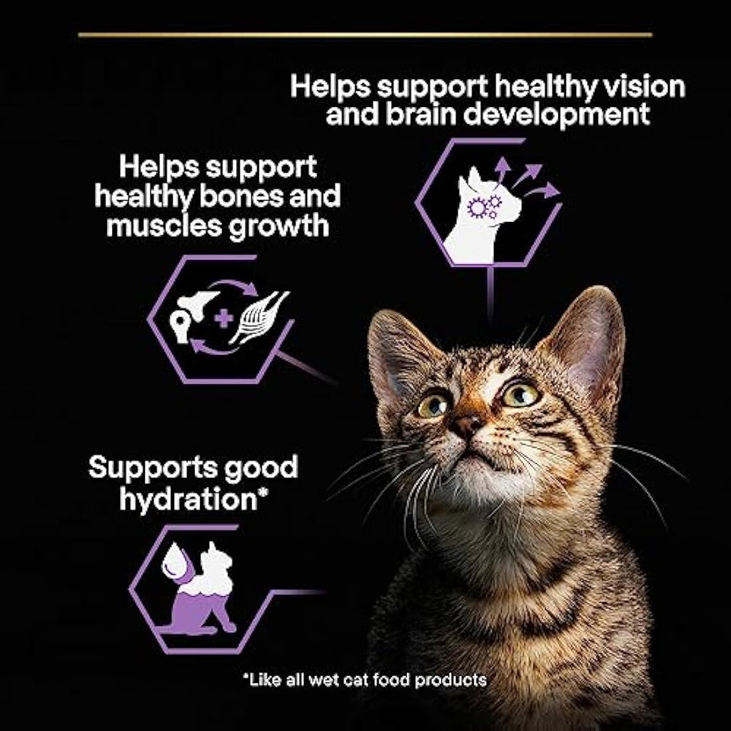 Purina Pro Plan Kitten Wet Cat Food – Turkey in Gravy 40 x 85g