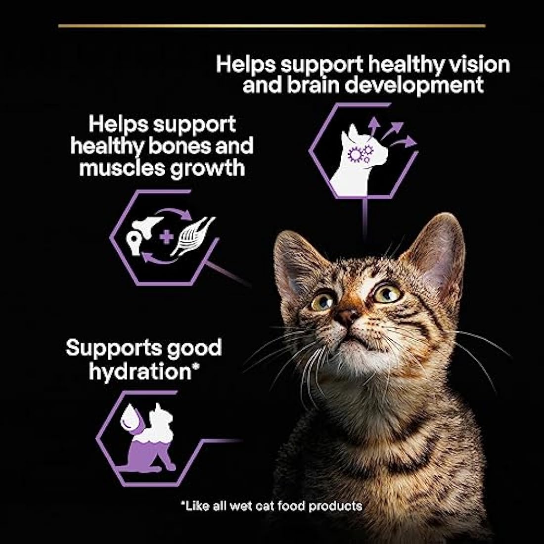 Purina Pro Plan Kitten Wet Cat Food – Turkey in Gravy 40 x 85g