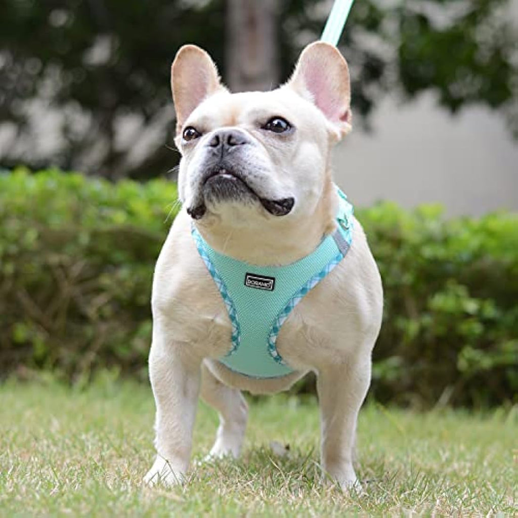 DORAMIO Step-in Dog Harness and Leash Set | Reflective Mesh Vest – XL
