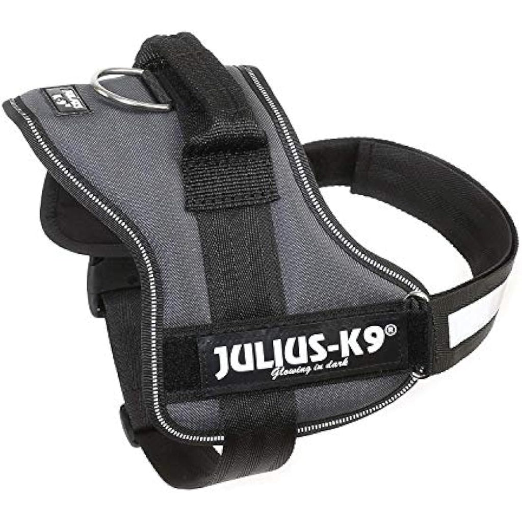 Julius-K9 Powerharness | Durable Reflective Dog Harness - Anthracite, M/0