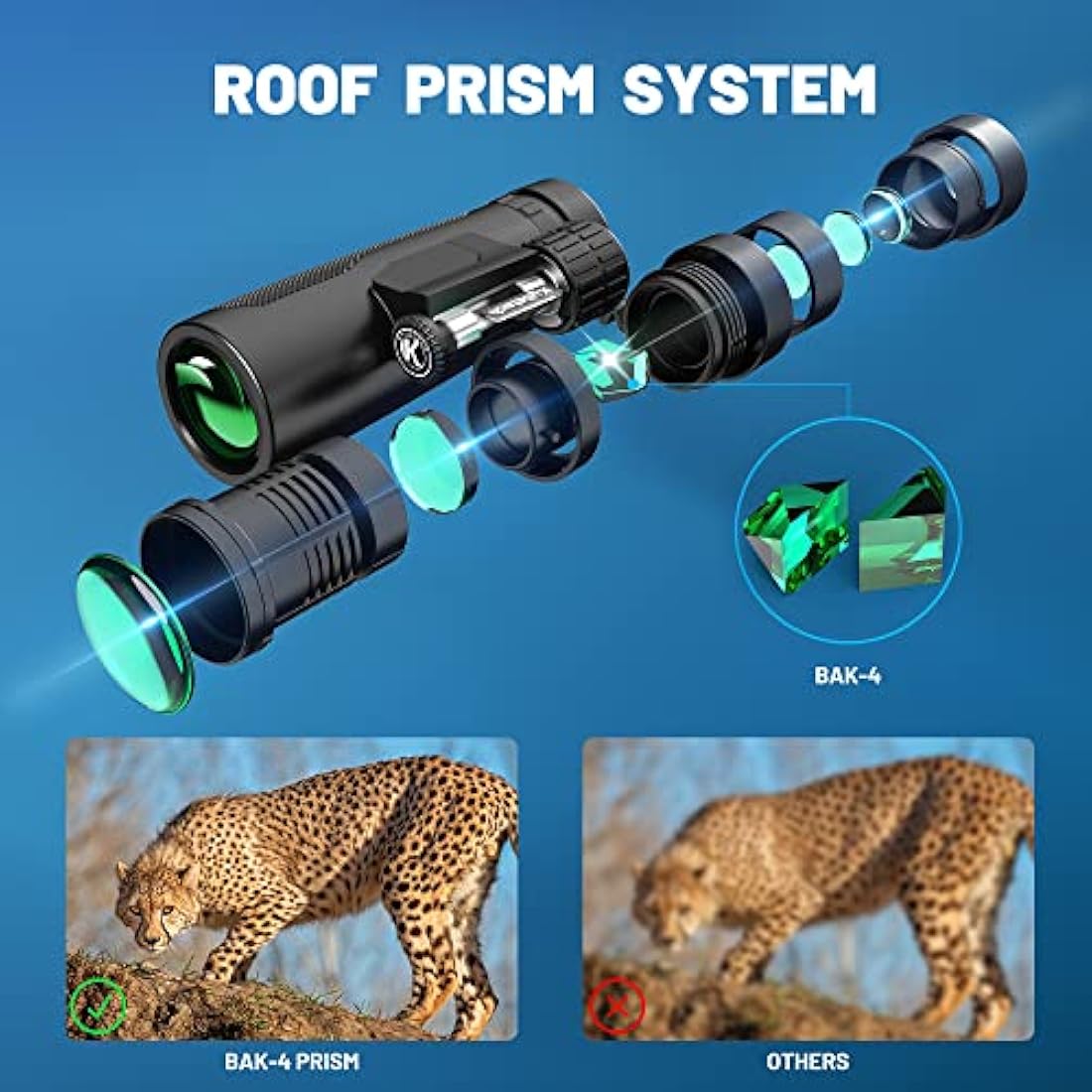 Kylietech 12x42 Waterproof Binoculars with Tripod & Phone Adapter
