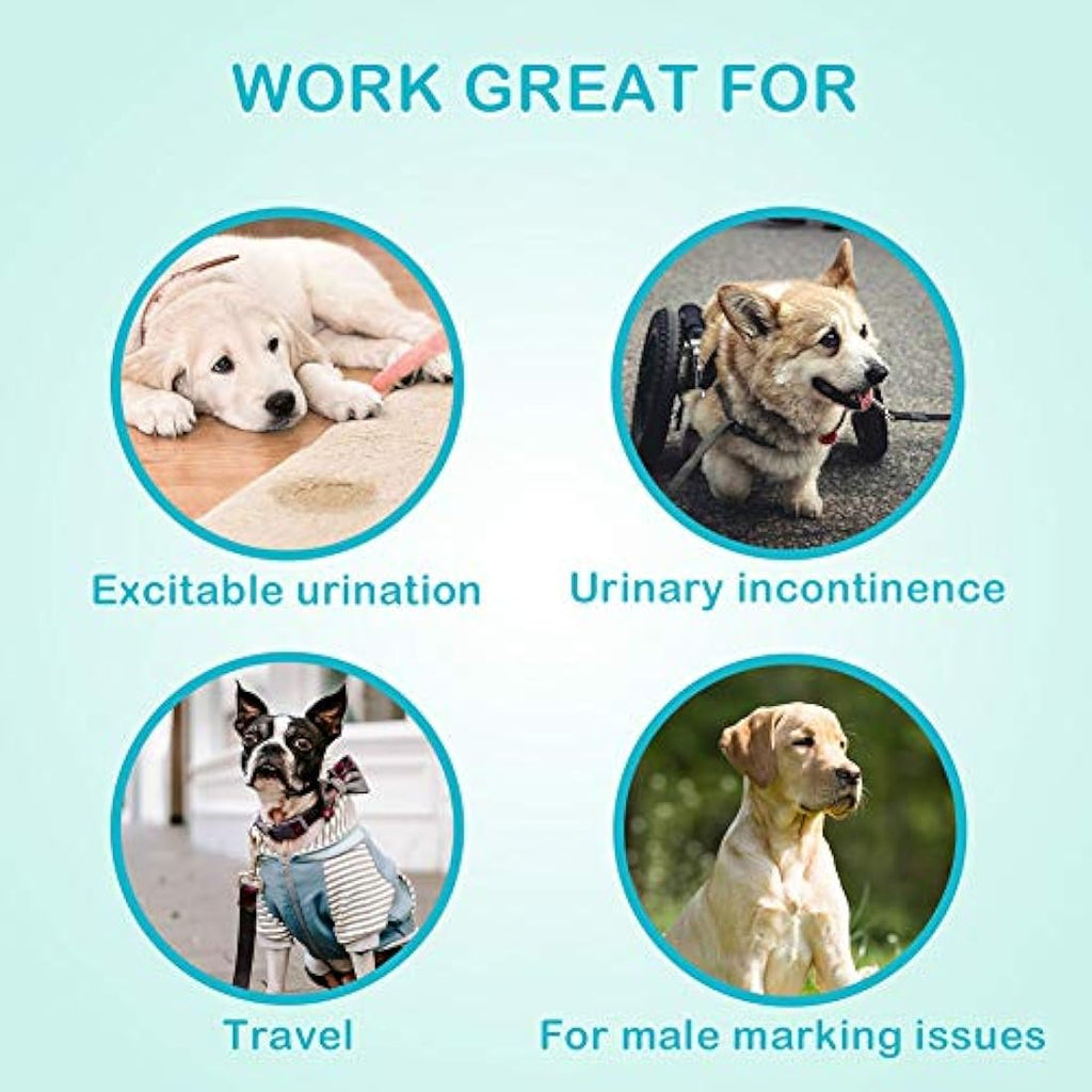 Flying Paws Male Dog Wraps | XS Disposable Absorbent Nappies - 60 Pack