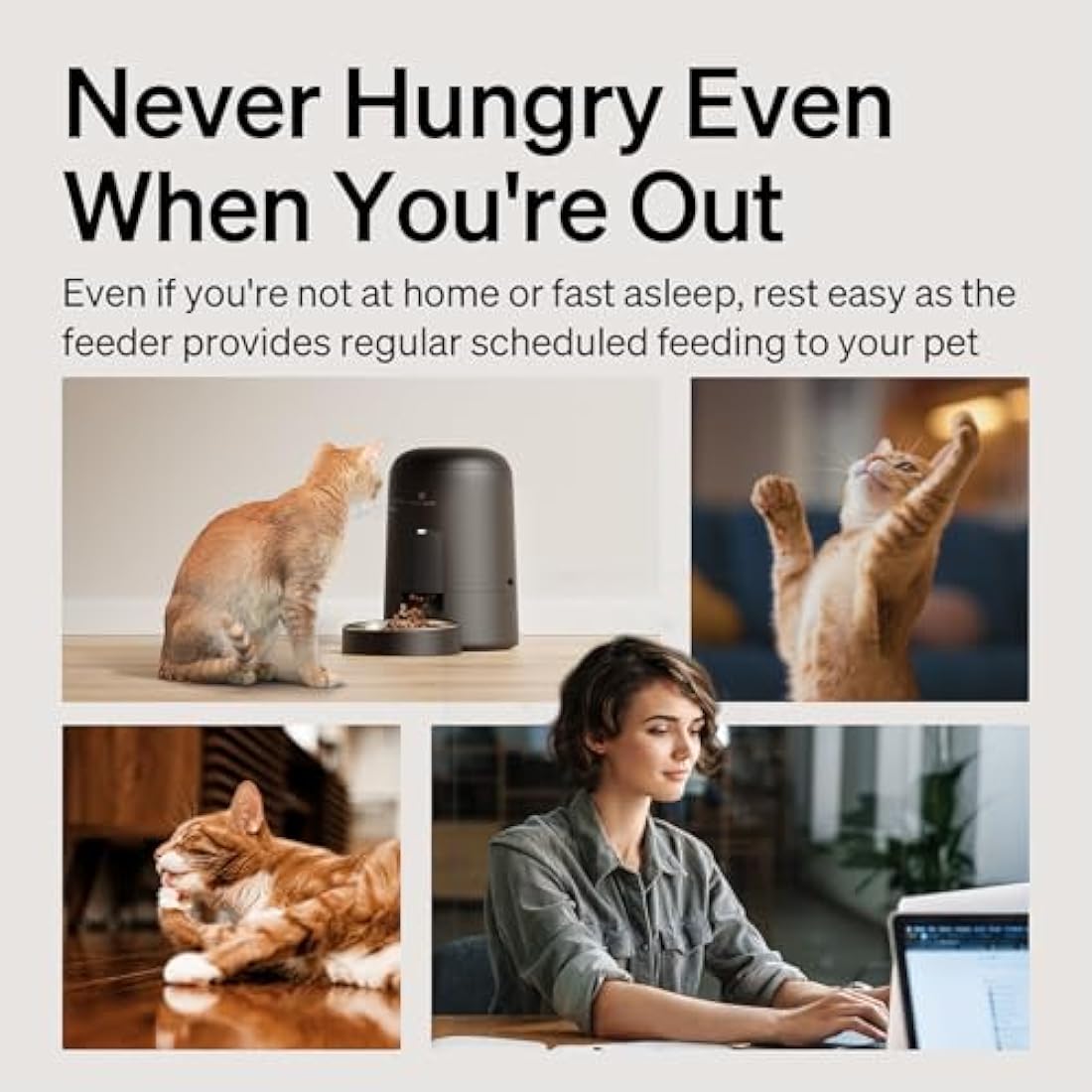PETLIBRO Automatic Cat Feeder – Timed Pet Dispenser with 180-Day Battery