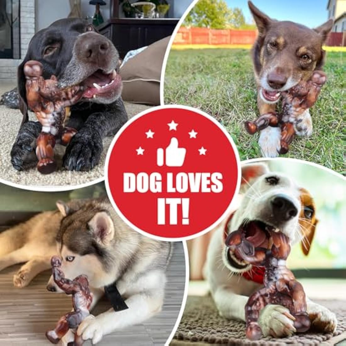Durable Nylon Dog Bone Toy for Aggressive Chewers | Beef