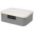 HOTOOLME Lockable Storage Container Bin,Medicine Organizer Box,Grey, M