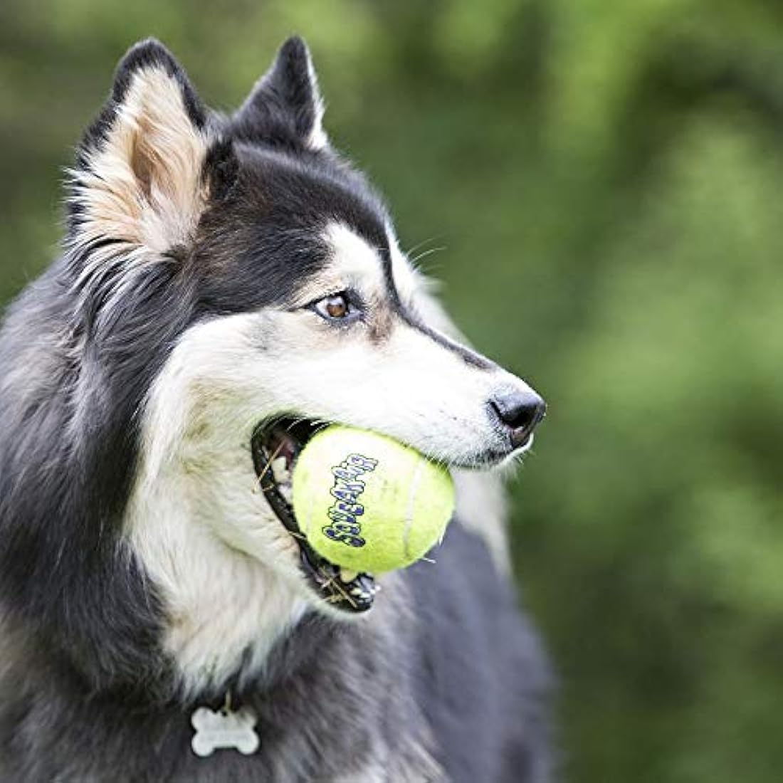 KONG SqueakAir Balls - Durable Squeaky Dog Fetch Toys for Large Dogs (2pk)