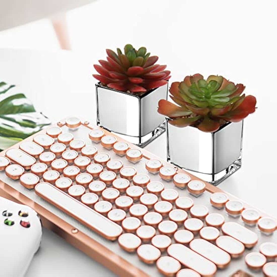 Mini Artificial Succulents – Set of 2 Faux Plants in Glass Pots