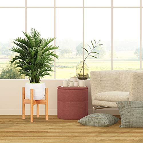 Jolof Store Bamboo Plant Stand – Adjustable Indoor Flower Pot Support