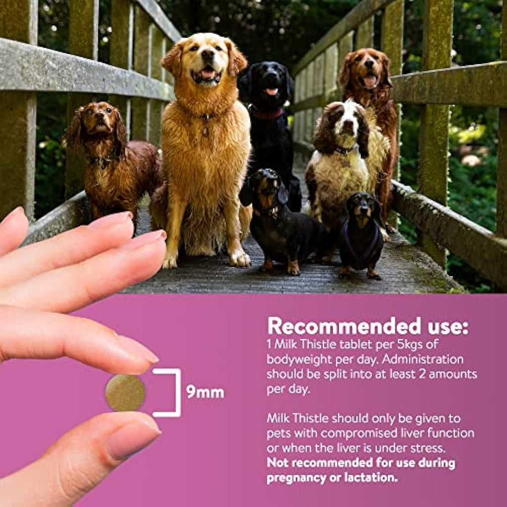 Dorwest Milk Thistle Tablets for Dogs and Cats – Liver Support, 200ct