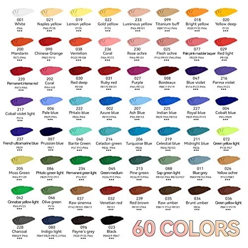 Paul Rubens Soft Oil Pastels – 60 Vibrant Colors for Artists and Drawing