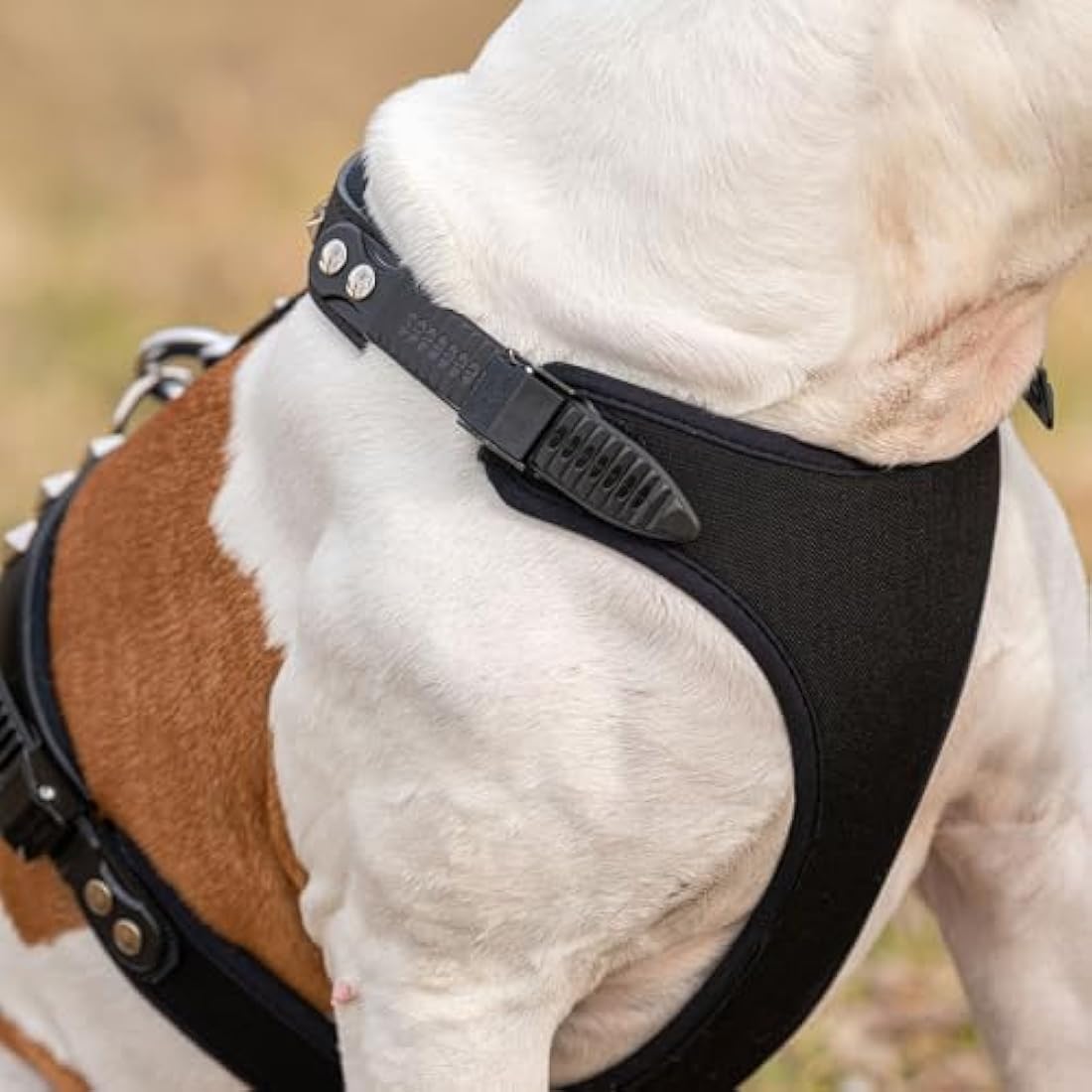 Ferplast Giotto Luxor Leather Dog Harness with Pyramid Studs - Black