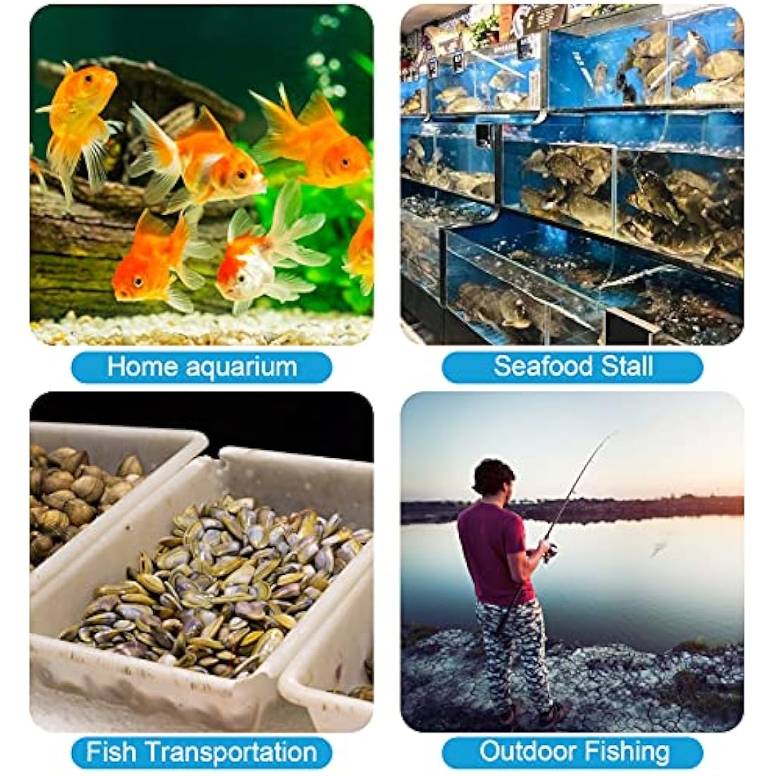 Rechargeable Aquarium Air Pump – Portable Silent Aerator