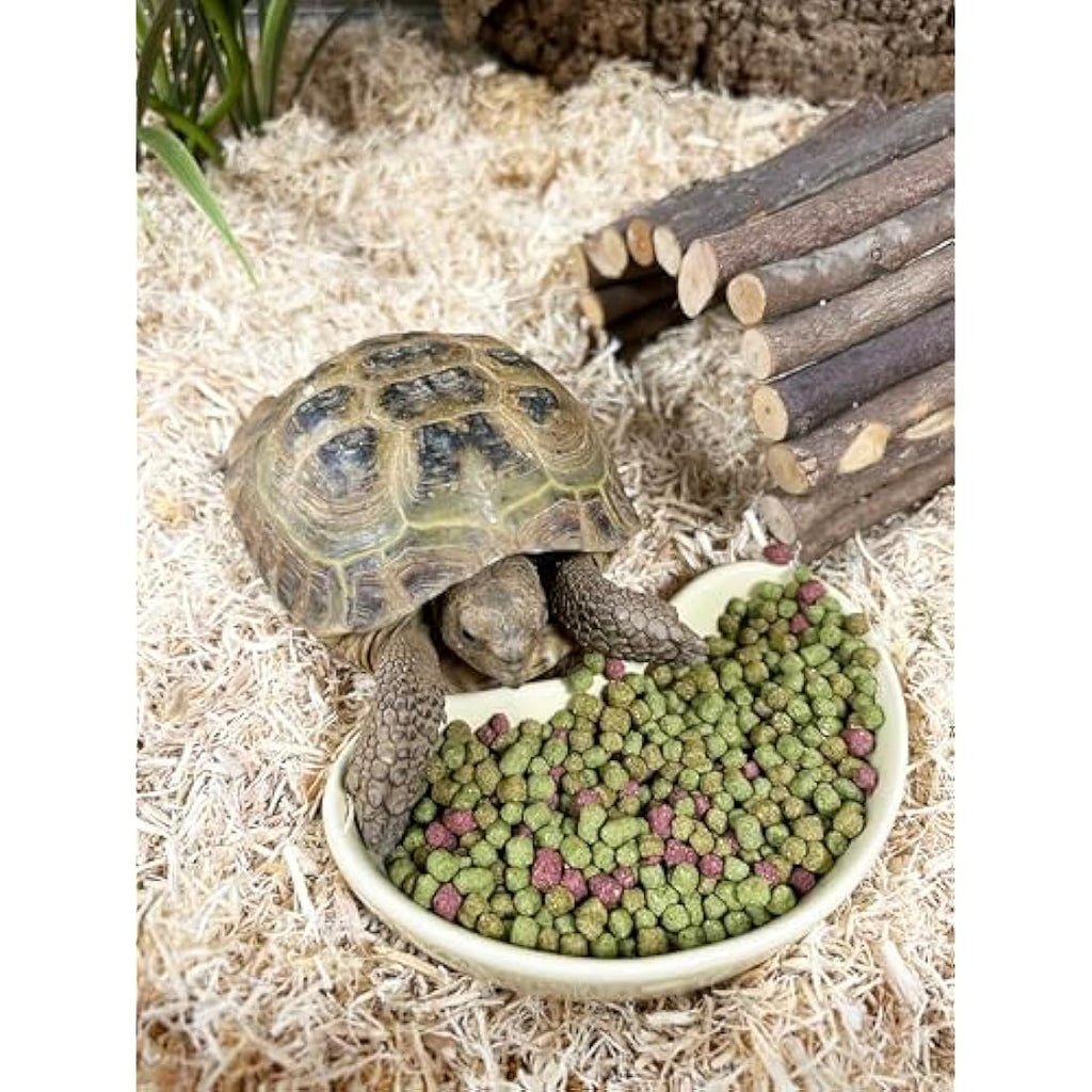 Komodo Fruit and Flower Tortoise Diet – Holistic High Fibre Food 170g