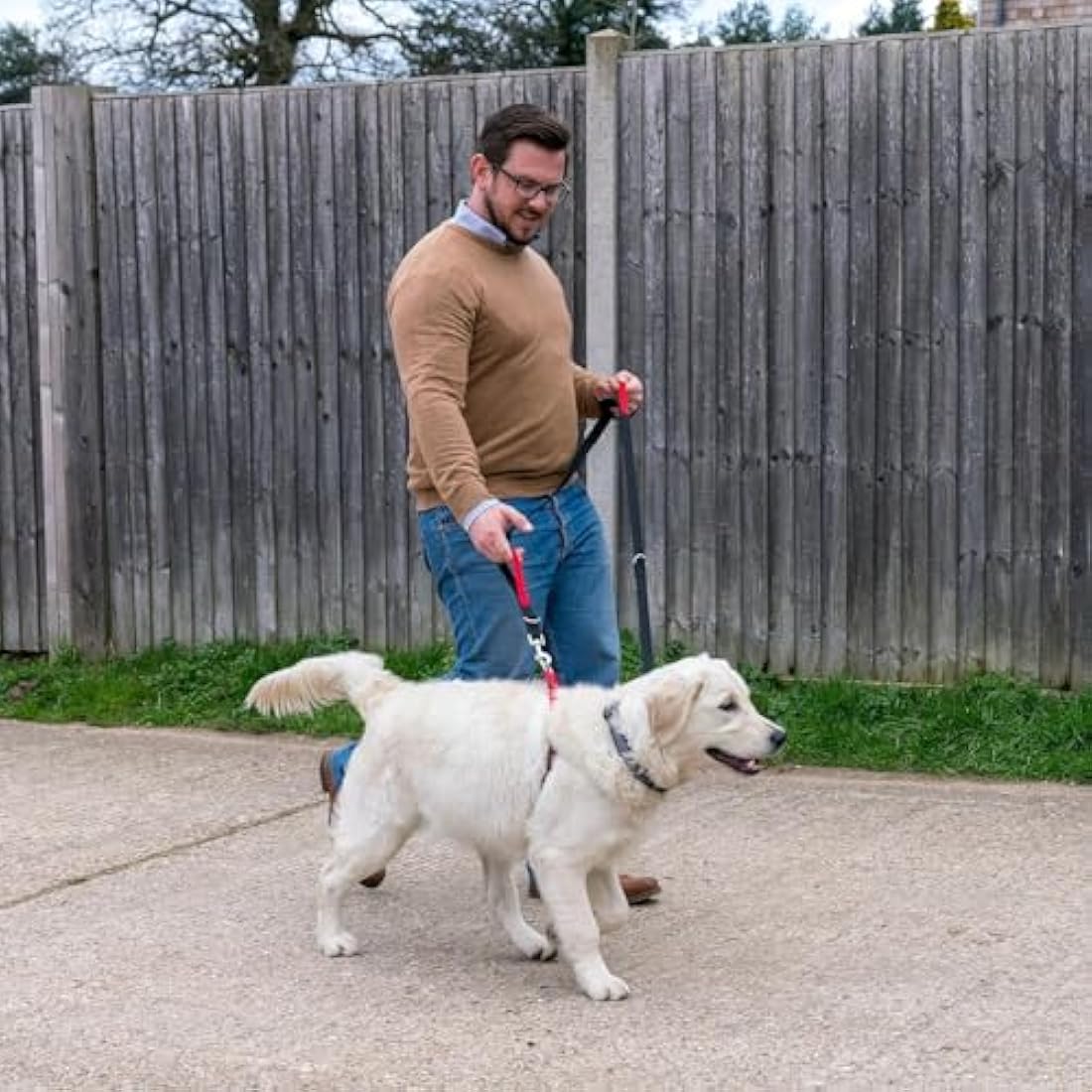HALTI Control Lead - Large Black Double-Ended Dog Training Leash