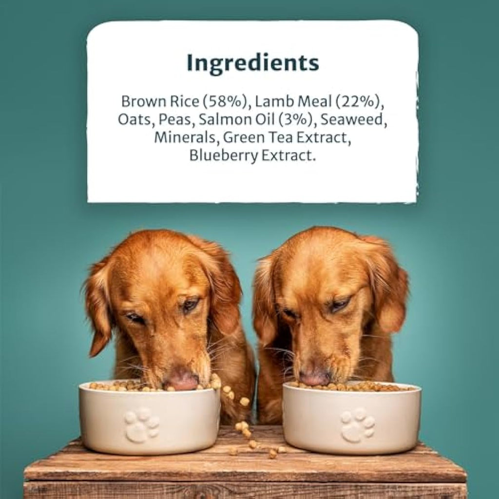Burns Pet Nutrition Lamb & Brown Rice Hypoallergenic Dry Dog Food 12kg