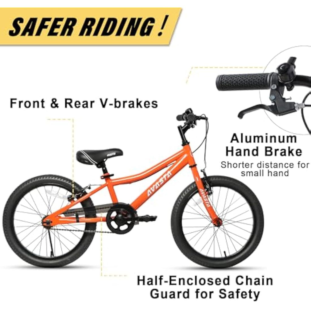 AVASTA Bilbo 20 Inch Kids Bike - Dual Handbrakes & Steel Frame