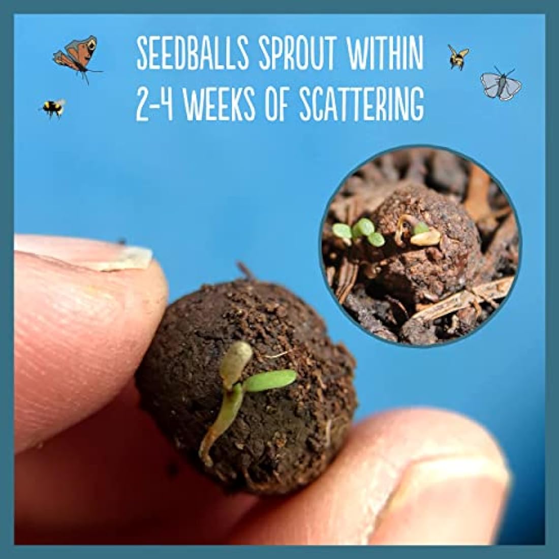 SEEDBALL Urban Meadow Wildflower Seed Bombs - 20 Native Flower Balls