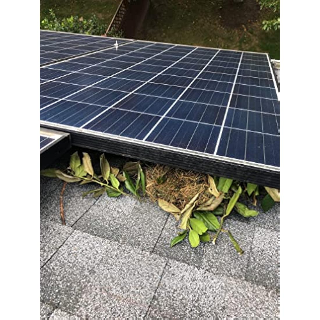 My Squirrel Guard Solar Panel Critter Guard Kit - 8" x 100ft PVC Steel