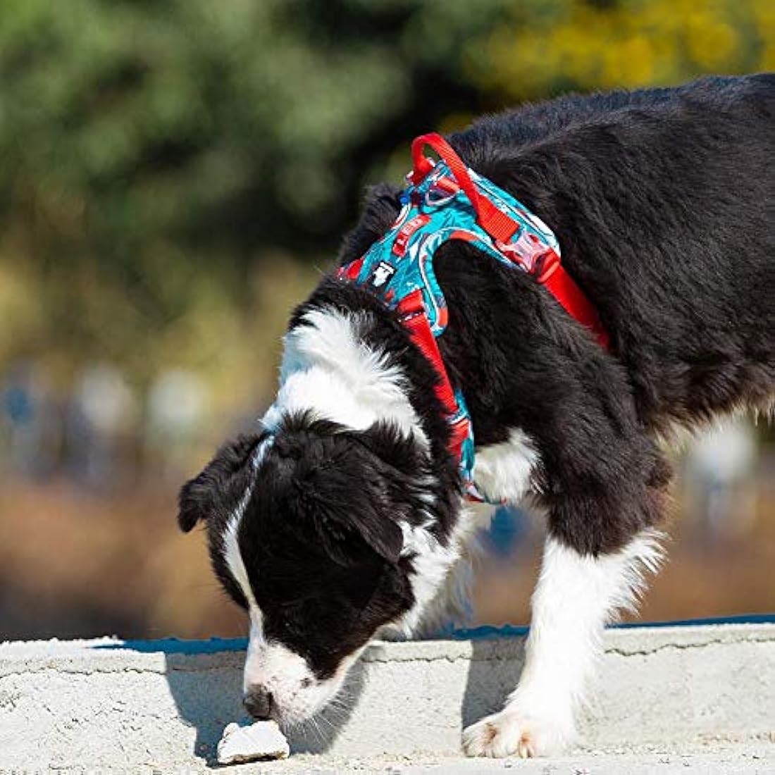 No Pull Dog Harness | Reflective Adjustable Nylon – Blue Camo