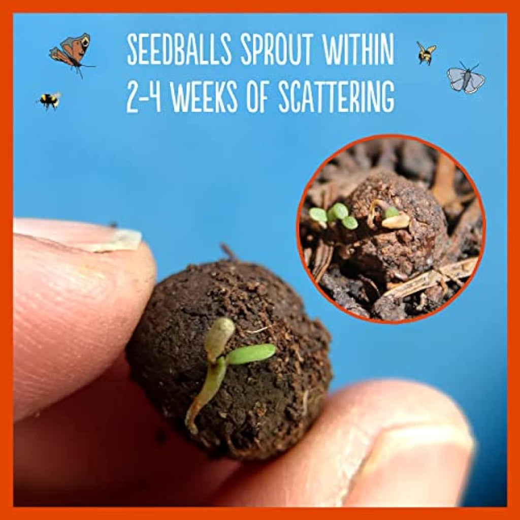 Seedball Red Poppy Seed Bombs – 100 Pack Peat-Free Wildflower Seeds