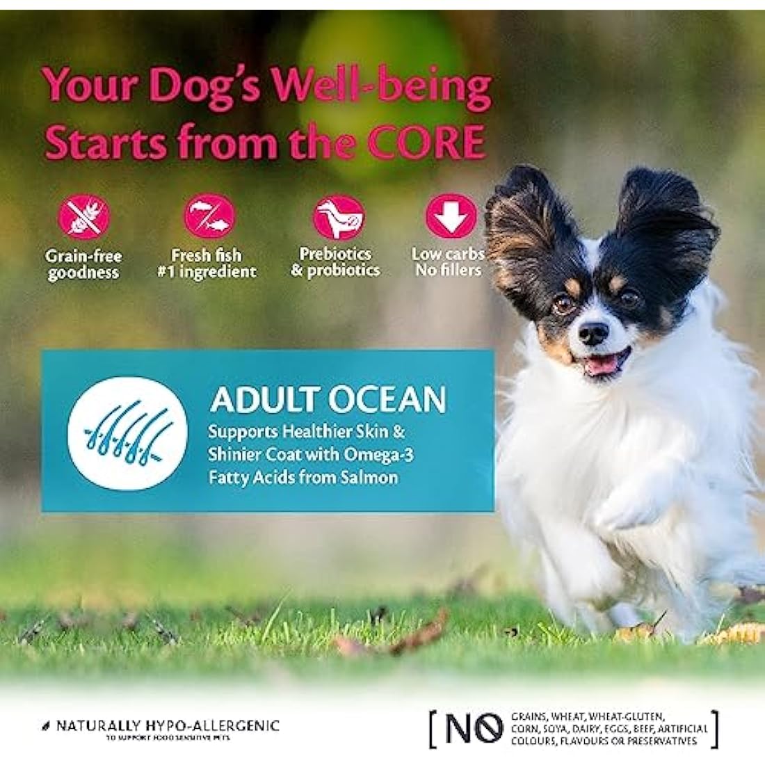 Wellness CORE Small Breed Ocean Salmon & Tuna Grain-Free Dog Food - 5kg
