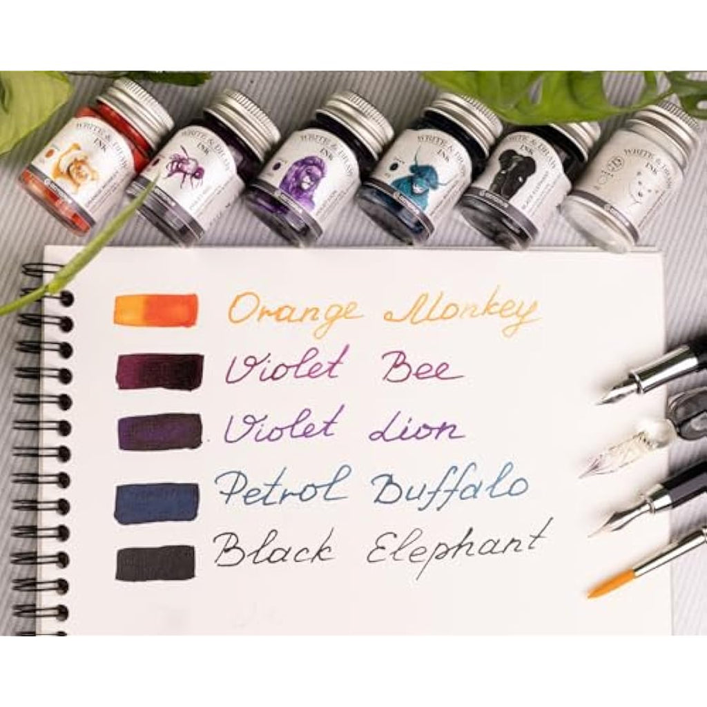 Octopus Write & Draw Waterproof Fountain Pen Ink Set - 6 x 10ml Basic Mix
